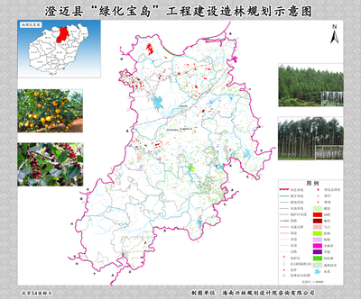 澄迈县"绿化宝岛"工程建设造林规划示意图图片