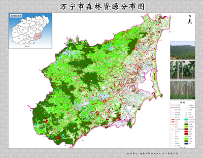 万宁市森林资源分布图图片