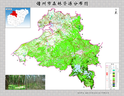 儋州市森林资源分布图图片